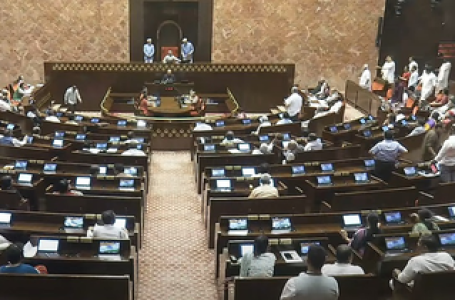 संसद : बिहार एसआईआर को लेकर चर्चा की मांग पर अड़ा विपक्ष, सदन की कार्यवाही स्थगित
