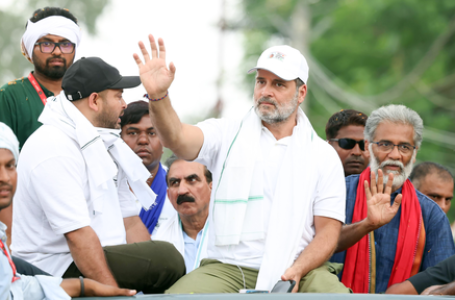 अगर वोट का अधिकार खो दिया गया, तो सब कुछ खो जाएगा : राहुल गांधी
