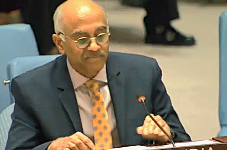 भारत ने यूएन में की ट्रंप के गाजा युद्धविराम के प्रयासों की सराहना, पी. हरीश बोले- सभी पक्ष दायित्वों का करें पालन