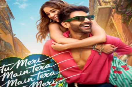 अपने बर्थडे पर कार्तिक आर्यन ने फैंस को दिया तोहफा, ‘तू मेरी मैं तेरा, मैं तेरा तू मेरी’ का टीजर रिलीज