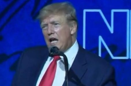 अमेरिका में एसएनएपी कटौती मामले में सुप्रीम कोर्ट से ट्रंप को मिली राहत, 4.2 करोड़ गरीबों के खाने पर संकट