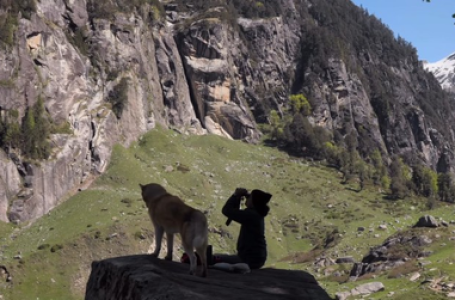 आईएफएफआई में ‘ओस्लो : ए टेल ऑफ प्रॉमिस’ का टीजर देखकर भावुक हुए लोग