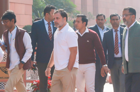 लोकसभा में अमित शाह के भाषण पर राहुल गांधी बोले, गृहमंत्री बहुत घबराए हुए थे