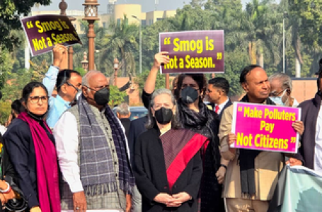 ‘प्रदूषण के कारण छोटे-छोटे बच्चे और बुजुर्ग बेहद परेशान’, सोनिया गांधी बोलीं- कदम उठाए सरकार