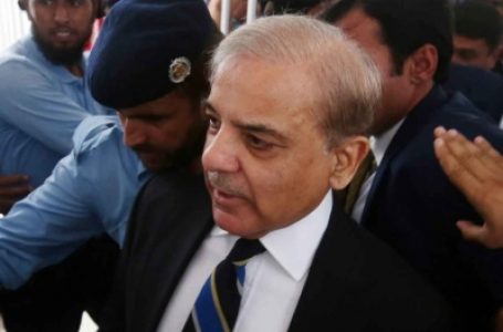 क्या पुतिन ने शहबाज शरीफ को 40 मिनट तक करवाया इंतजार? जानें क्या है खबर की सच्चाई