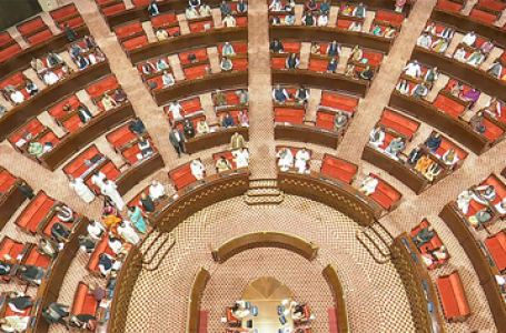 संसद में सरकार से मांग, महिलाओं के घरेलू काम का हो आर्थिक मूल्यांकन, जीडीपी में करें शामिल