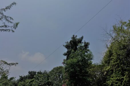 Pre-Monsoon morning rain in Delhi brought respite from heat