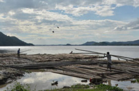 A scene of the wholesale bamboo market at Brahmaputra river bank in Guwahati on Aug 30