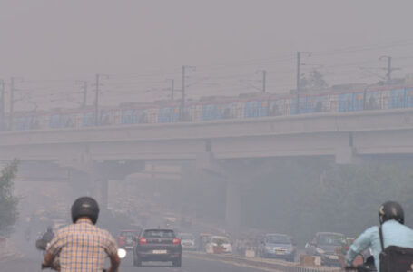 Delhi had highest per-capita economic loss due to air pollution in 2019: Lancet