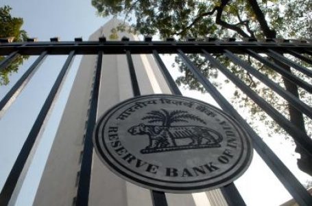 RBI expended about $80bn or 15% of reserves moderating rupee fall