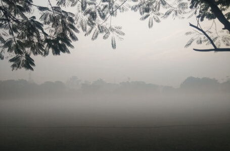 Wet spell over east, central India, dense fog over north India: IMD