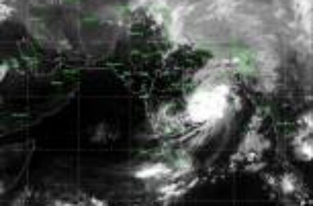 Cyclone Fani made landfall in Odisha on Friday