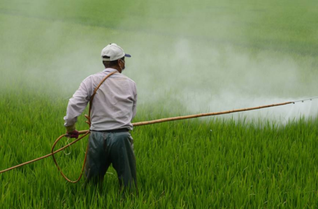 India seeks to boost pesticide production in the midst of increasing poisoning cases.
