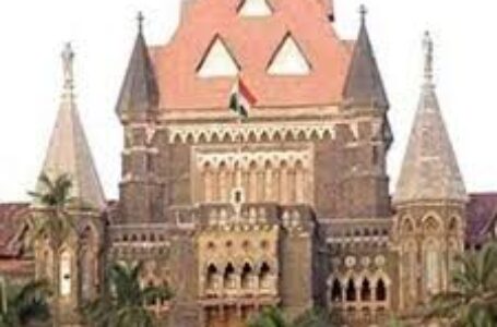 Bombay HC notice to Goa govt, others in mining lease renewal case