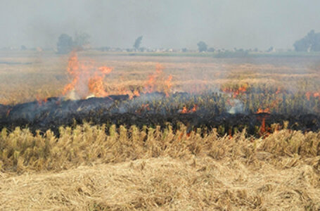India needs more than laws to stamp out farm fires