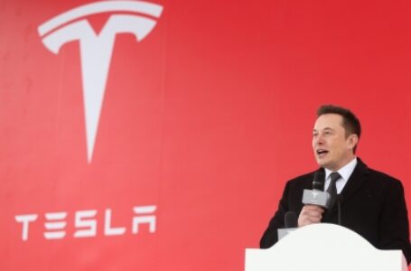 Not enough people on earth, world heading towards population collapse: Musk to UN
