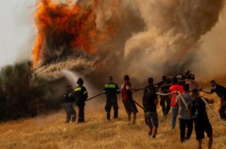 Greek wildfires biggest ecological disaster of last few decades