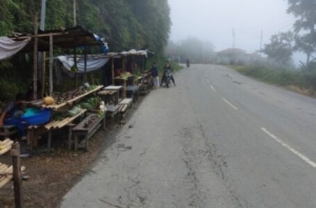 No trucks on highway to Mizoram, state starts to feel pinch
