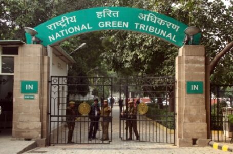 NGT directs panel to check illegal mining in MP’s Singrauli