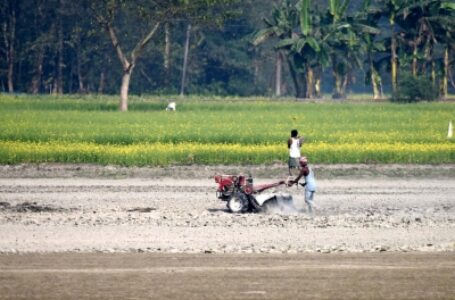 SC panel had suggested repeal of farm laws, says farmers faced loss of $40 bn per annum