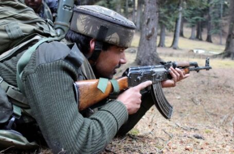 Srinagar gunfight: Two LeT terrorists killed