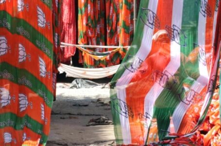 After Cong, BJP also ‘red flags’ Kerala’s Silver Line project
