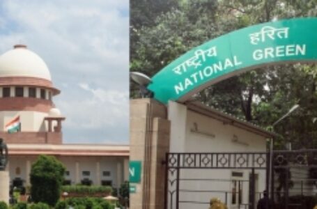 NGT can take suo moto cognisance of environmental issues, rules SC