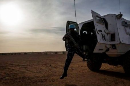 28 UN peacekeepers killed, 165 injured in Mali this year