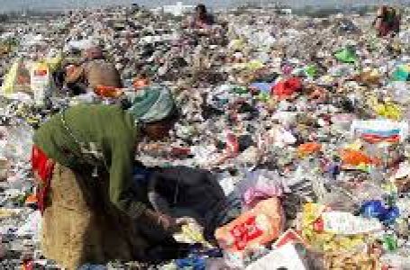 Plastic waste devastating soil, takes 1000 years to decompose