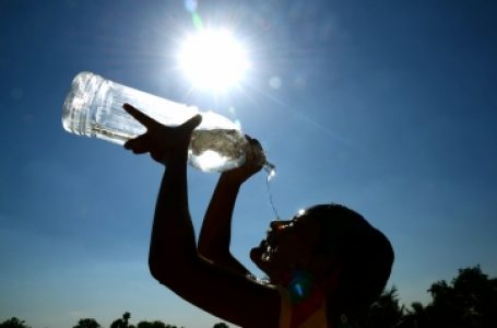 India loses 259 bn labour hours annually due to heat: Study