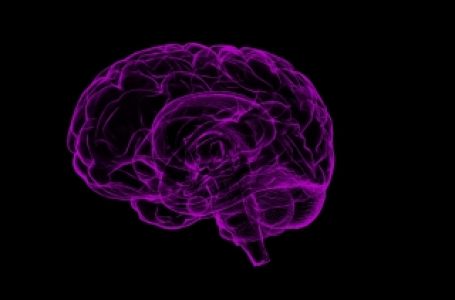 Covid raises brain disorder, epilepsy risks in kids months later: Lancet