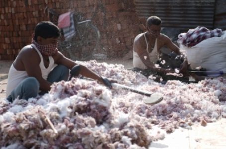 New stock, Omicron impact to arrest rising Cotton prices: Ind-Ra