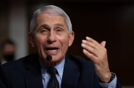 Did Fauci commission paper used to debunk Covid lab leak theory?
