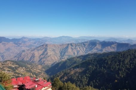 Forest cover in Himalayan states, including NE, declined: Forest report 2021