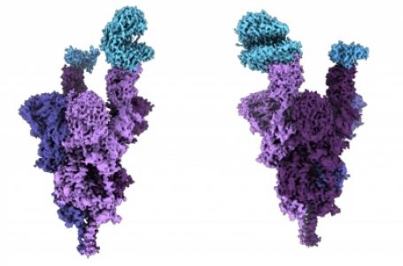 Indian-origin scientist creates 1st molecular structure of Omicron protein