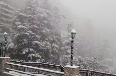 Shimla sees season’s heaviest snowfall