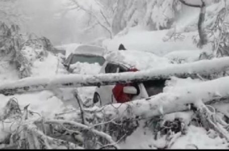 21 tourists stranded in cars freeze to death in Pak hill station