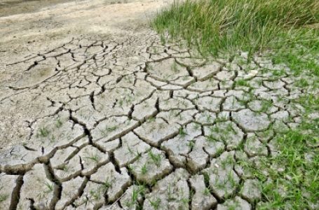 Turkey hit by severe drought amid lack of rain