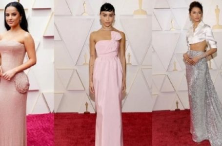 Pink tops the Oscars 2022 red carpet list￼￼