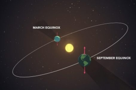 Spring equinox 2022 is here, signals longer, warmer days