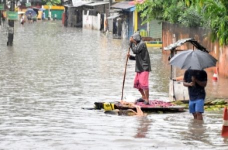 Southwest monsoon reaches Odisha: IMD