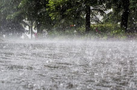 IMD issues heavy rainfall warning for several parts of north India
