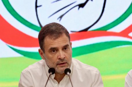 Rahul Gandhi: Opposition seems ineffective because Modi Govt controls four pillars of democracy