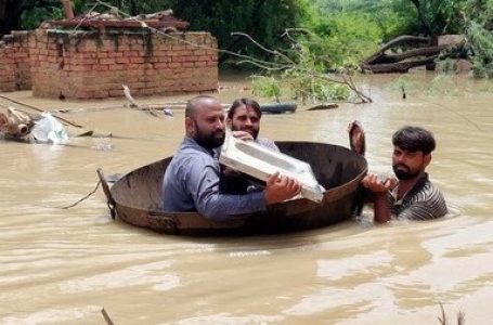 Pakistan cricket team to wear black armbands in match vs India in support of flood victims back home