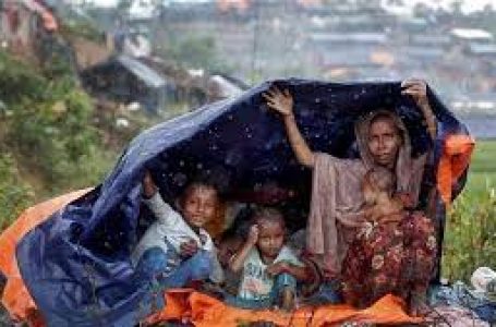 Rohingya refugees living in Delhi to get flats, police protection