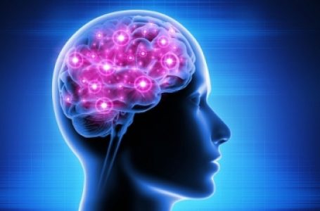 Fast changes in dopamine levels may determine human behaviour: Study
