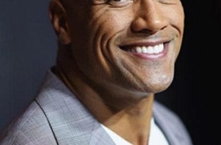 Dwayne Johnson ridiculed after he says he’d be Megan Thee Stallion’s pet