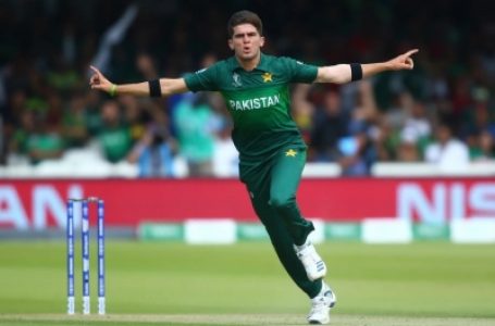 Shaheen Afridi feels he will be ready for T20 WC match against India: Ramiz Raja