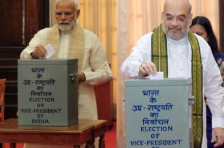Voting on in Vice-Presidential poll; Modi, Shah, Manmohan Singh cast their votes