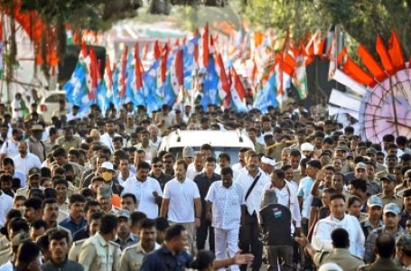 Bharat Jodo Yatra to halt on Oct 17 for Congress president elections